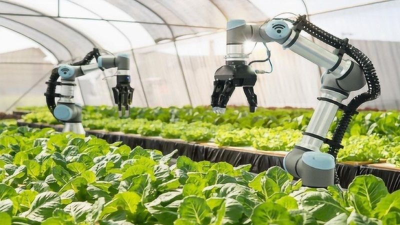 水稻收割机喂入量参数解析：关键指标背后的秘密