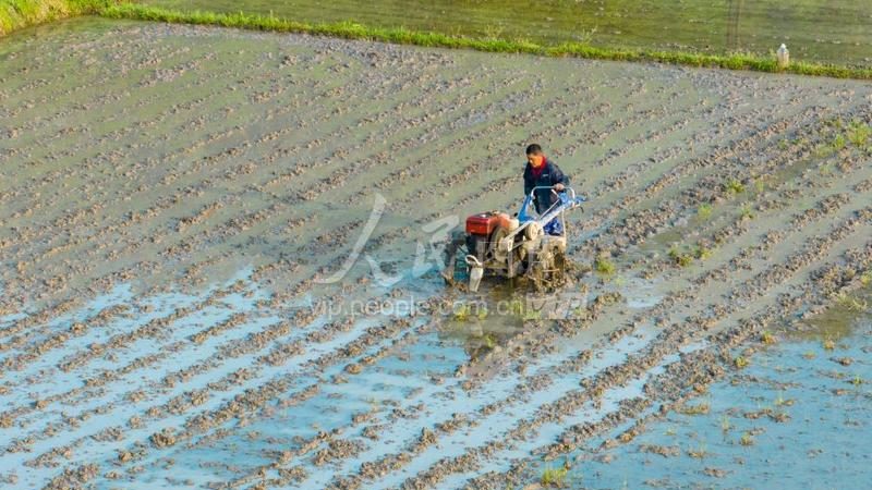 极飞植保无人机：价格之外，你还需要了解这些**